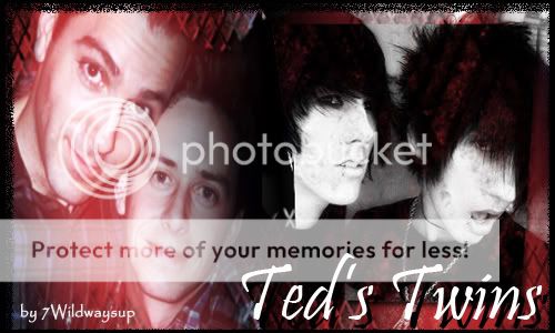 Ted's Twins Banner