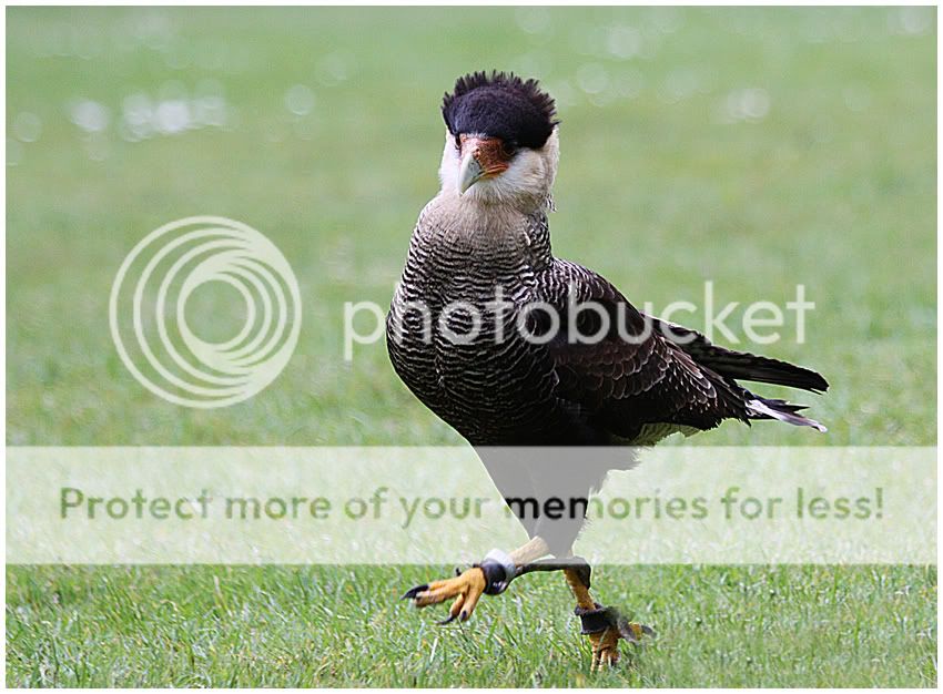 Fotografie