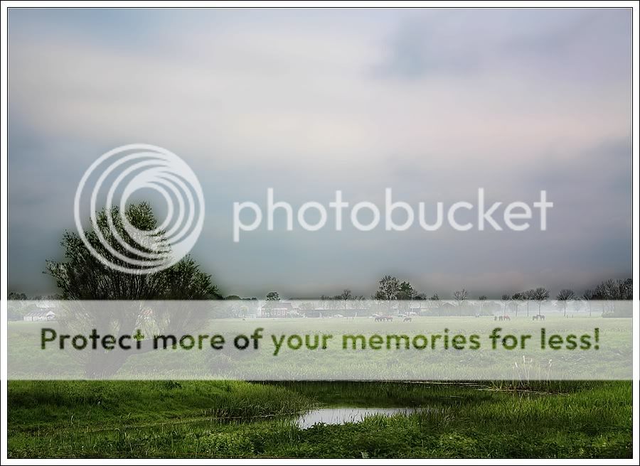 Fotografie