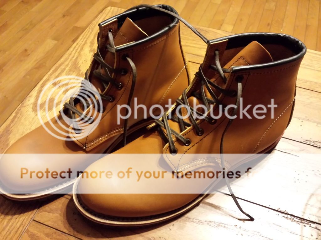 20131123_224908_zps6d9aacb3.jpg