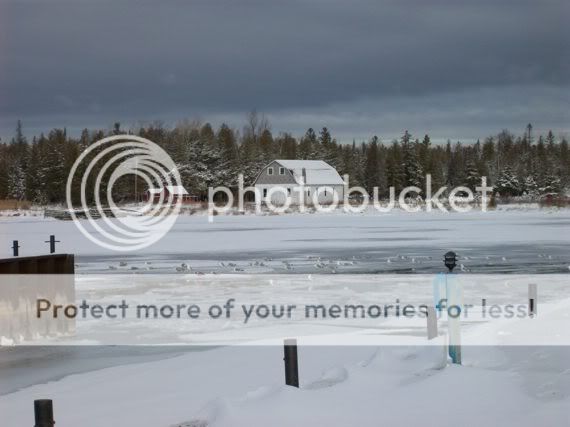 Jackson Harbor