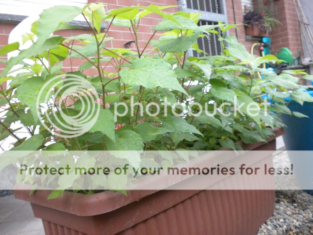 DSCN3838.jpg