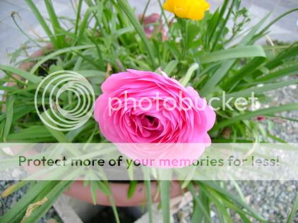 rsz_dsc01613.jpg