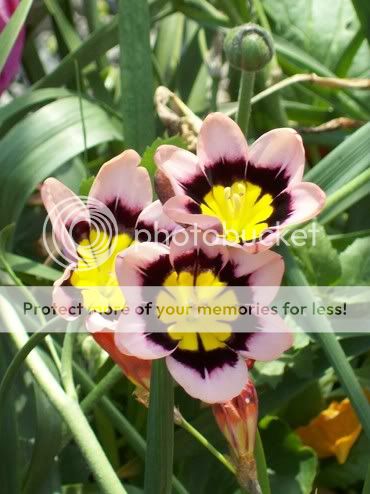 rsz_foto_giardino_005.jpg