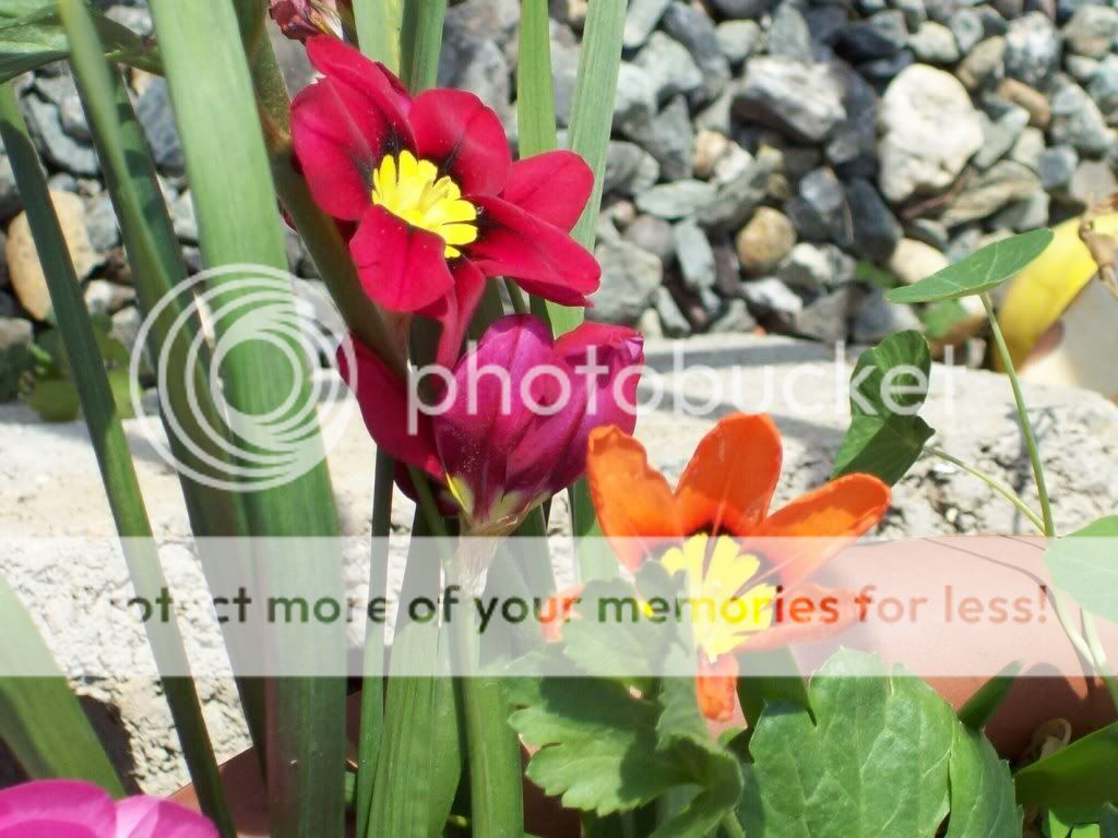 rsz_foto_giardino_007.jpg