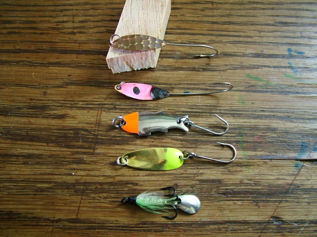 shad fishing from a boat?